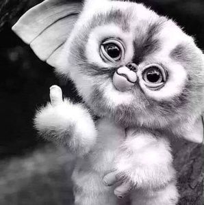 Meet your Posher, Tony